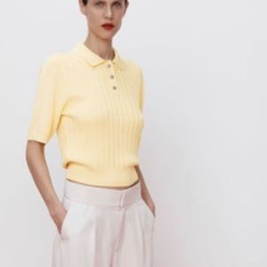 NWOT Zara Jewel Button Knit Polo